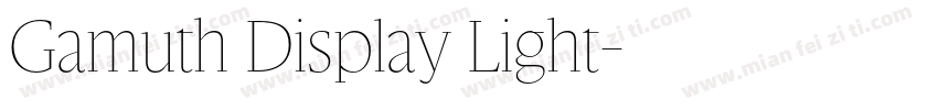 Gamuth Display Light字体转换